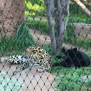 Meet your Posher, Hugo